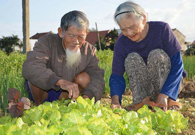 Green House Homestay 호이안 외부 사진