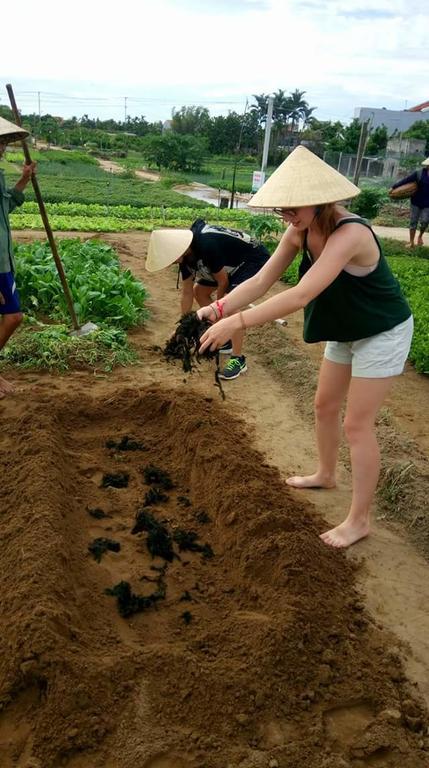 Green House Homestay 호이안 외부 사진